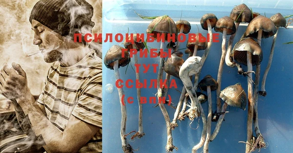 2c-b Волосово