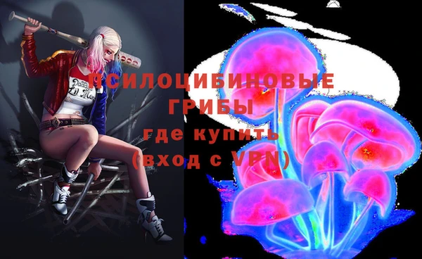 mdpv Волоколамск