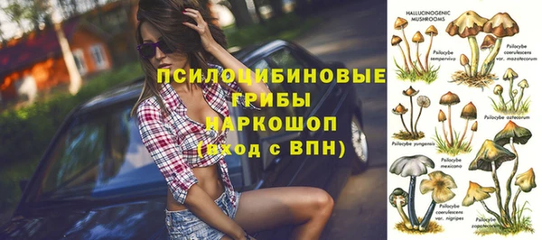 mdpv Волоколамск