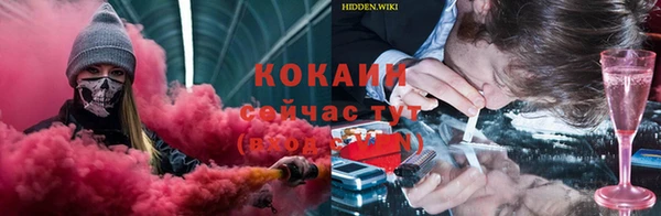 стафф Верхний Тагил