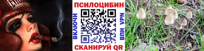 Галлюциногенные грибы прущие грибы  Купить где  Комсомольск 